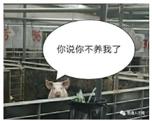 QQ圖片20220303164231.jpg 圖片