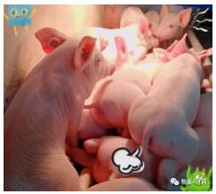 圖片2 (2).png 圖片