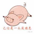 攝圖網(wǎng)_401477185_熱癱了的豬豬(企業(yè)商用).png 圖片
